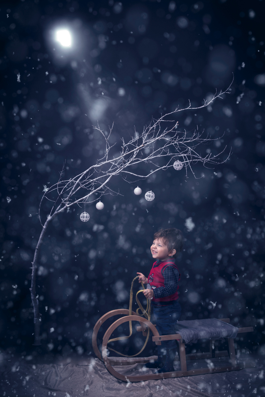 Sesiune foto Craciun Mihai si Tudor 0008 copy